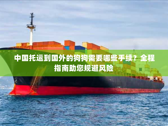 中国托运到国外的狗狗需要哪些手续？全程指南助您规避风险