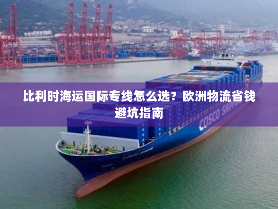 比利时海运国际专线怎么选？欧洲物流省钱避坑指南