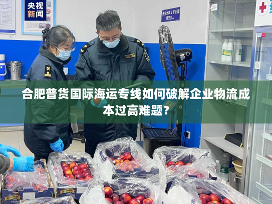 合肥普货国际海运专线如何破解企业物流成本过高难题？