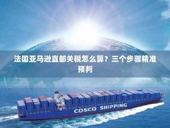 法国亚马逊直邮关税怎么算？三个步骤精准预判