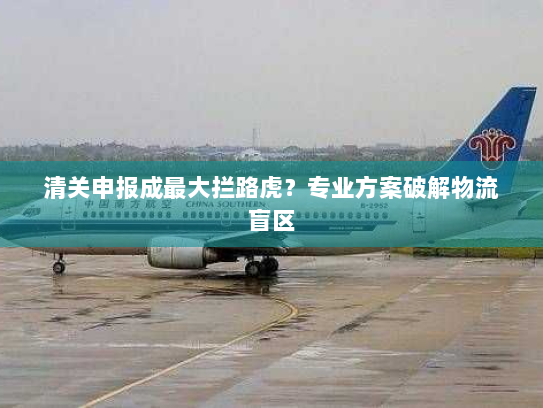 清关申报成最大拦路虎?专业方案破解物流盲区 清关申报成最大拦路虎?专业方案破解物流盲区