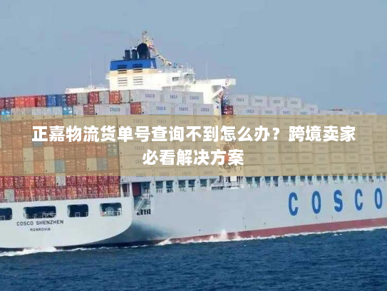 正嘉物流货单号查询不到怎么办？跨境卖家必看解决方案
