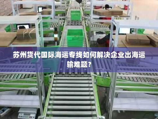 苏州货代国际海运专线如何解决企业出海运输难题？