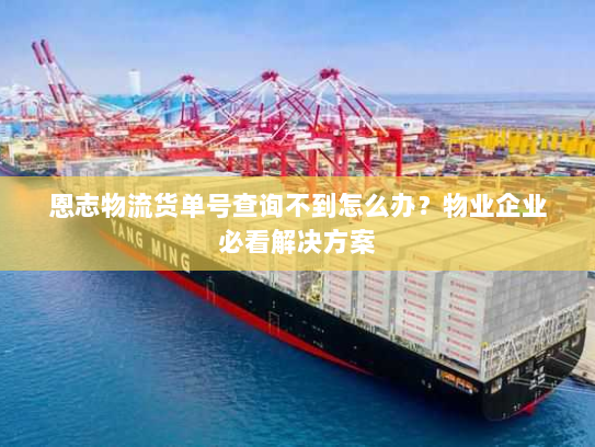 恩志物流货单号查询不到怎么办？物业企业必看解决方案