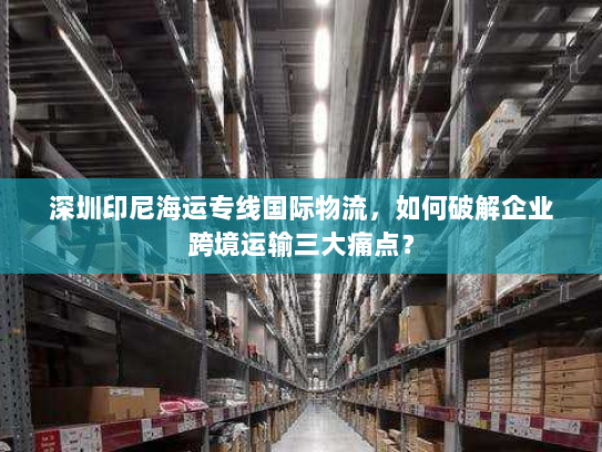 深圳印尼海运专线国际物流，如何破解企业跨境运输三大痛点？