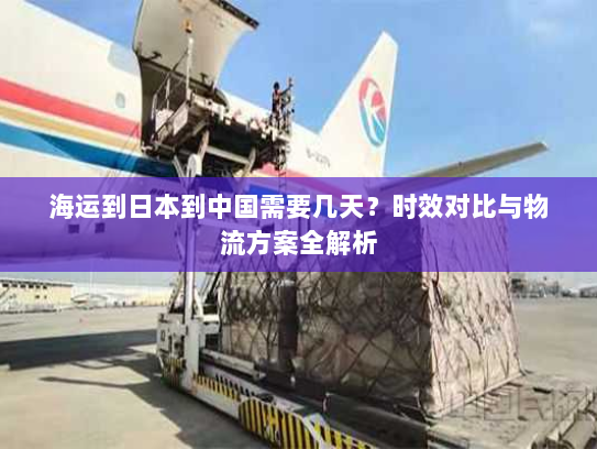 海运到日本到中国需要几天？时效对比与物流方案全解析