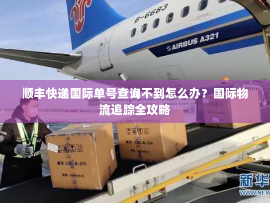 顺丰快递国际单号查询不到怎么办?国际物流追踪全攻略 顺丰快递国际单号查询不到怎么办?国际物流追踪全攻略