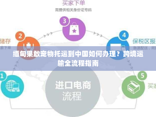 缅甸果敢宠物托运到中国如何办理？跨境运输全流程指南