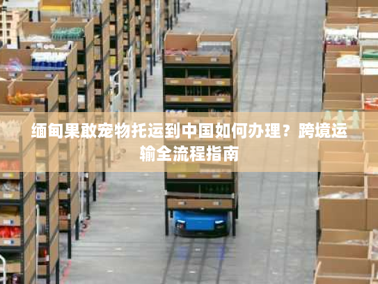 缅甸果敢宠物托运到中国如何办理？跨境运输全流程指南