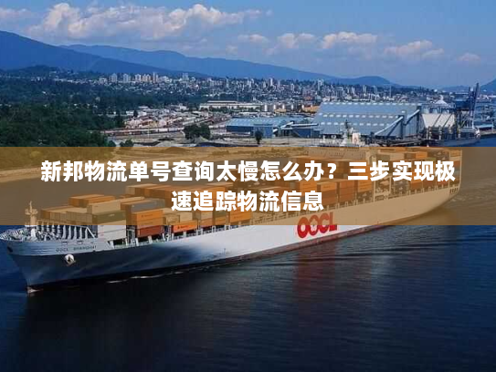 新邦物流单号查询太慢怎么办？三步实现极速追踪物流信息