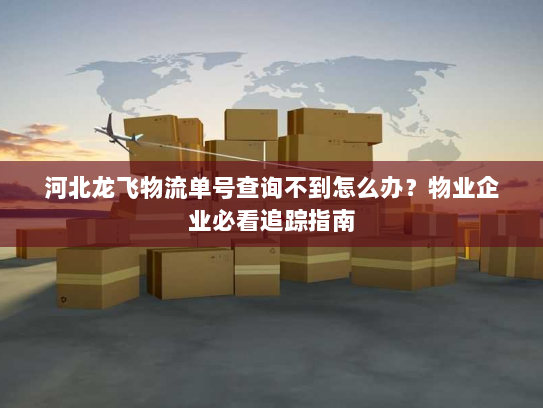 河北龙飞物流单号查询不到怎么办？物业企业必看追踪指南