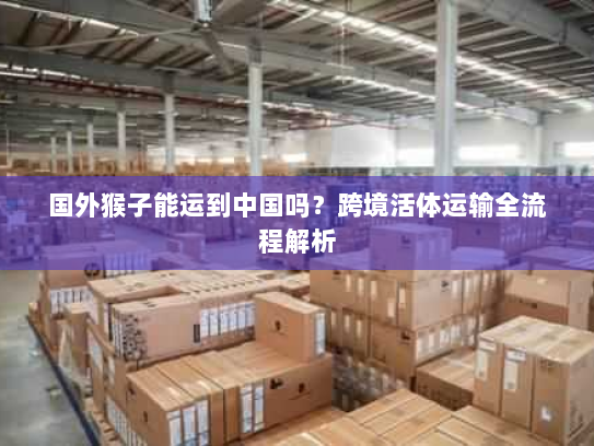 国外猴子能运到中国吗？跨境活体运输全流程解析