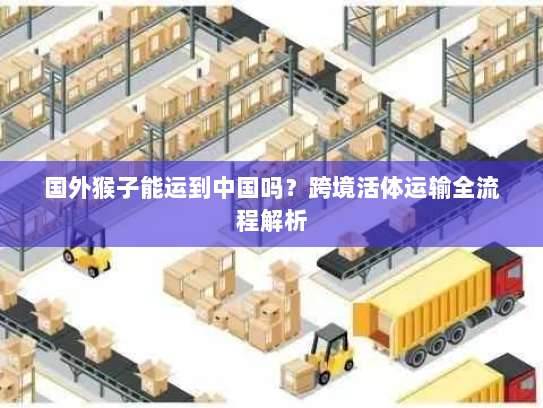 国外猴子能运到中国吗？跨境活体运输全流程解析
