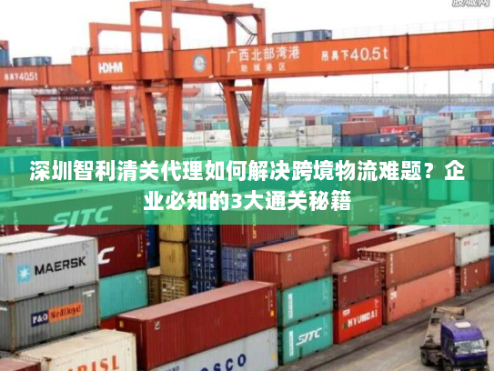 深圳智利清关代理如何解决跨境物流难题？企业必知的3大通关秘籍