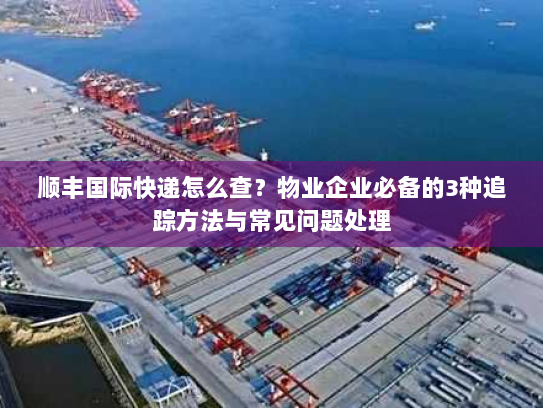 顺丰国际快递怎么查？物业企业必备的3种追踪方法与常见问题处理
