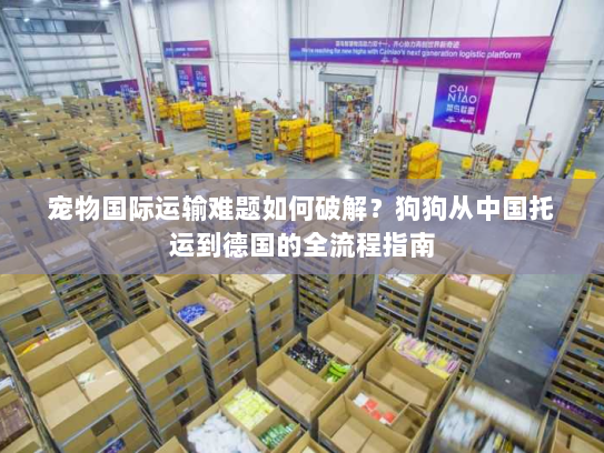 宠物国际运输难题如何破解？狗狗从中国托运到德国的全流程指南