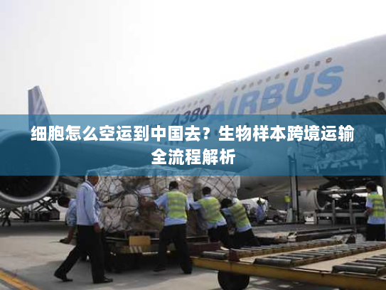 细胞怎么空运到中国去？生物样本跨境运输全流程解析