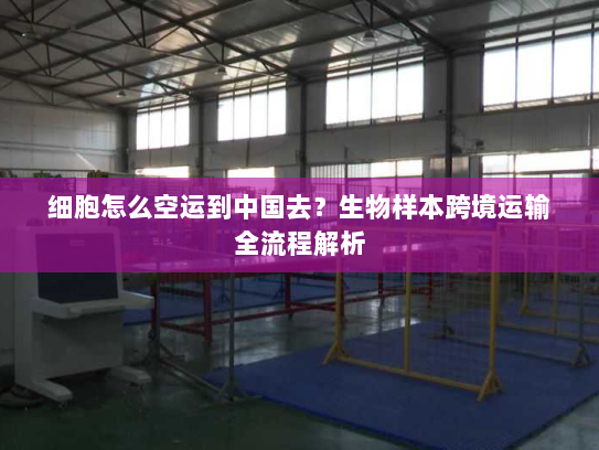 细胞怎么空运到中国去？生物样本跨境运输全流程解析