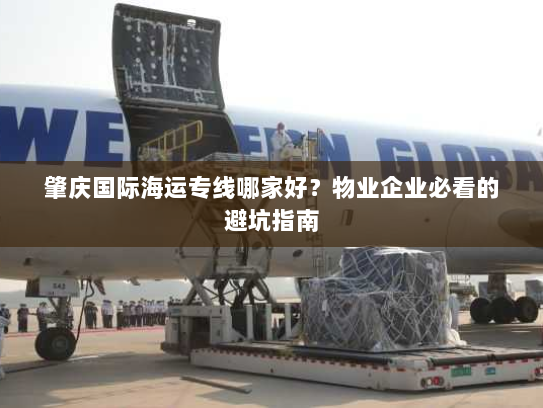 肇庆国际海运专线哪家好？物业企业必看的避坑指南