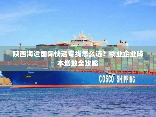 陕西海运国际快递专线怎么选？物业企业降本增效全攻略