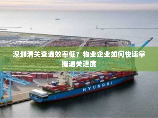 深圳清关查询效率低?物业企业如何快速掌握通关进度 深圳清关查询效率低?物业企业如何快速掌握通关进度