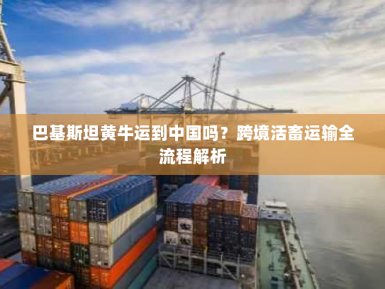 巴基斯坦黄牛运到中国吗？跨境活畜运输全流程解析