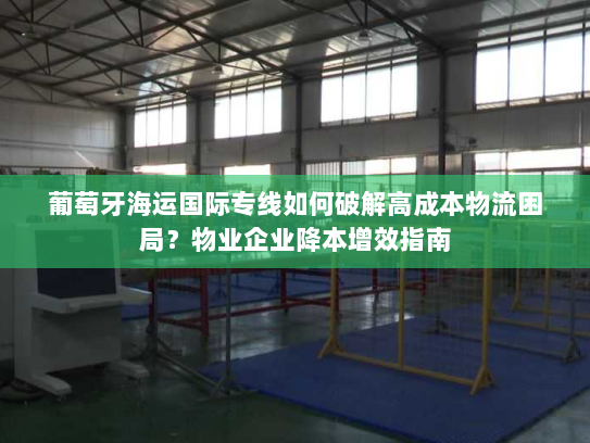 葡萄牙海运国际专线如何破解高成本物流困局？物业企业降本增效指南