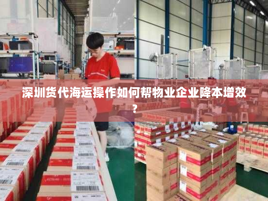 深圳货代海运操作如何帮物业企业降本增效？