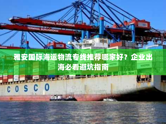 雅安国际海运物流专线推荐哪家好?企业出海必看避坑指南 雅安国际海运物流专线推荐哪家好?企业出海必看避坑指南