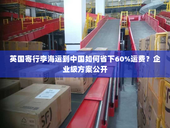 英国寄行李海运到中国如何省下60%运费?企业级方案公开 英国寄行李海运到中国如何省下60%运费?企业级方案公开