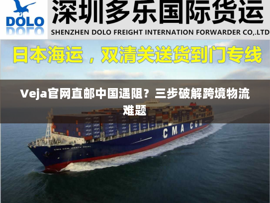 Veja官网直邮中国遇阻?三步破解跨境物流难题 Veja官网直邮中国遇阻?三步破解跨境物流难题