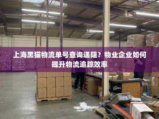上海黑猫物流单号查询遇阻?物业企业如何提升物流追踪效率 上海黑猫物流单号查询遇阻?物业企业如何提升物流追踪效率