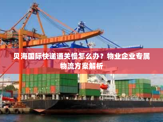 贝海国际快递通关慢怎么办？物业企业专属物流方案解析