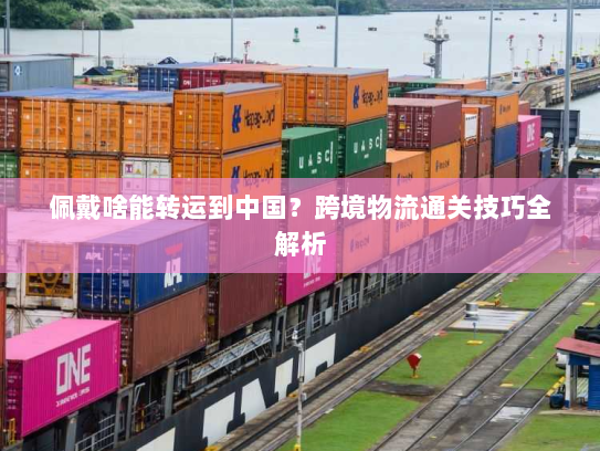佩戴啥能转运到中国?跨境物流通关技巧全解析 佩戴啥能转运到中国?跨境物流通关技巧全解析