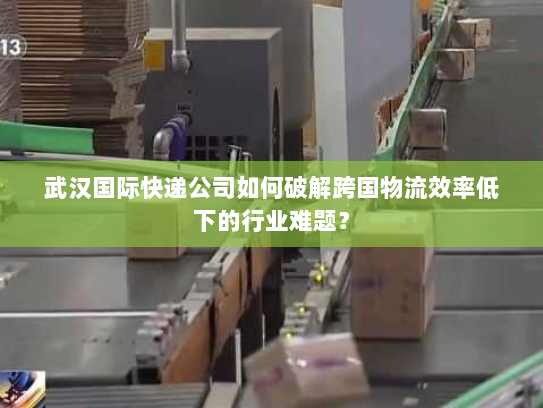 武汉国际快递公司如何破解跨国物流效率低下的行业难题？