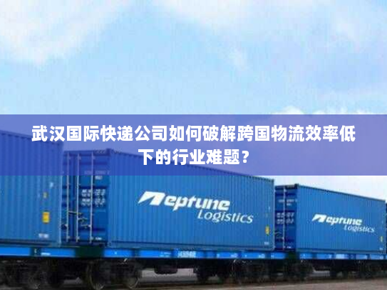 武汉国际快递公司如何破解跨国物流效率低下的行业难题？