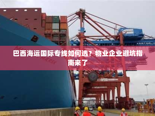 巴西海运国际专线如何选？物业企业避坑指南来了