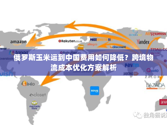 俄罗斯玉米运到中国费用如何降低?跨境物流成本优化方案解析 俄罗斯玉米运到中国费用如何降低?跨境物流成本优化方案解析