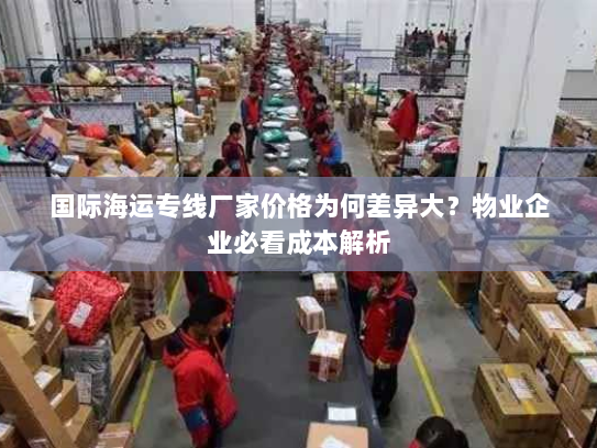 国际海运专线厂家价格为何差异大？物业企业必看成本解析
