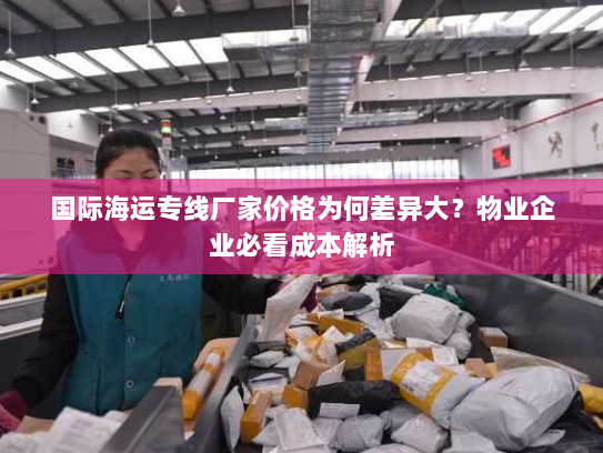 国际海运专线厂家价格为何差异大？物业企业必看成本解析