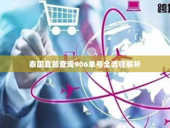 泰国直邮查询906单号全流程解析