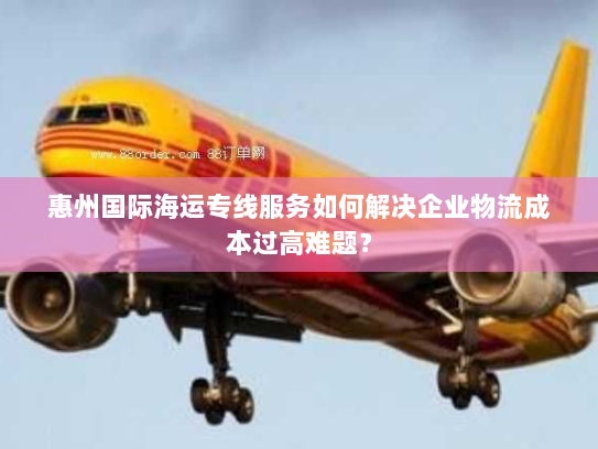 惠州国际海运专线服务如何解决企业物流成本过高难题？