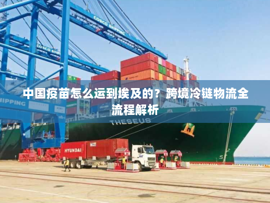 中国疫苗怎么运到埃及的？跨境冷链物流全流程解析