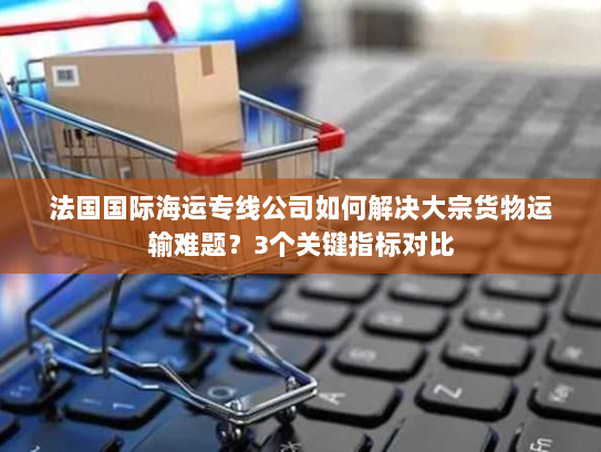 法国国际海运专线公司如何解决大宗货物运输难题?3个关键指标对比 法国国际海运专线公司如何解决大宗货物运输难题?3个关键指标对比