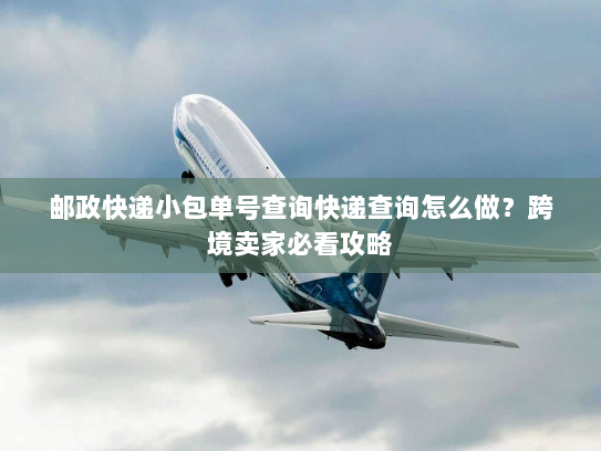 邮政快递小包单号查询快递查询怎么做？跨境卖家必看攻略