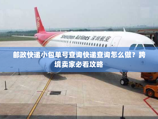 邮政快递小包单号查询快递查询怎么做？跨境卖家必看攻略