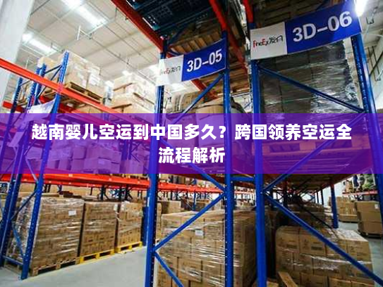 越南婴儿空运到中国多久？跨国领养空运全流程解析