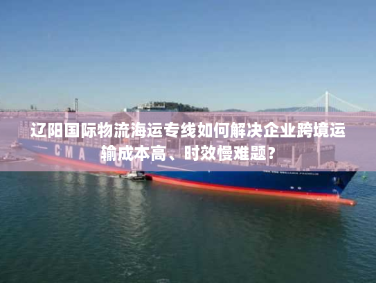 辽阳国际物流海运专线如何解决企业跨境运输成本高、时效慢难题？