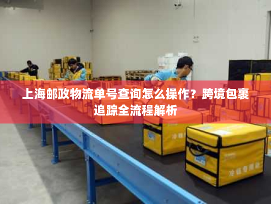上海邮政物流单号查询怎么操作?跨境包裹追踪全流程解析 上海邮政物流单号查询怎么操作?跨境包裹追踪全流程解析