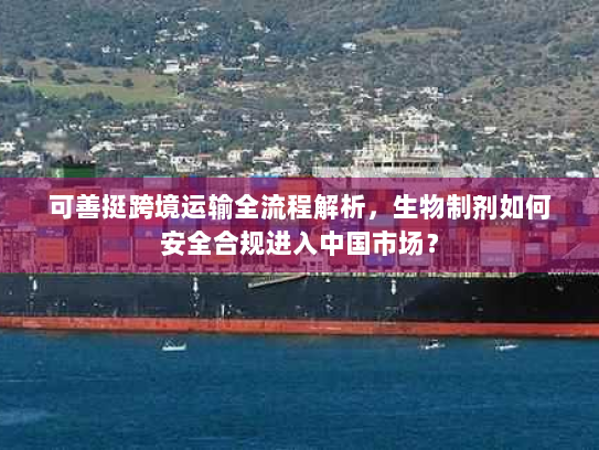 可善挺跨境运输全流程解析，生物制剂如何安全合规进入中国市场？